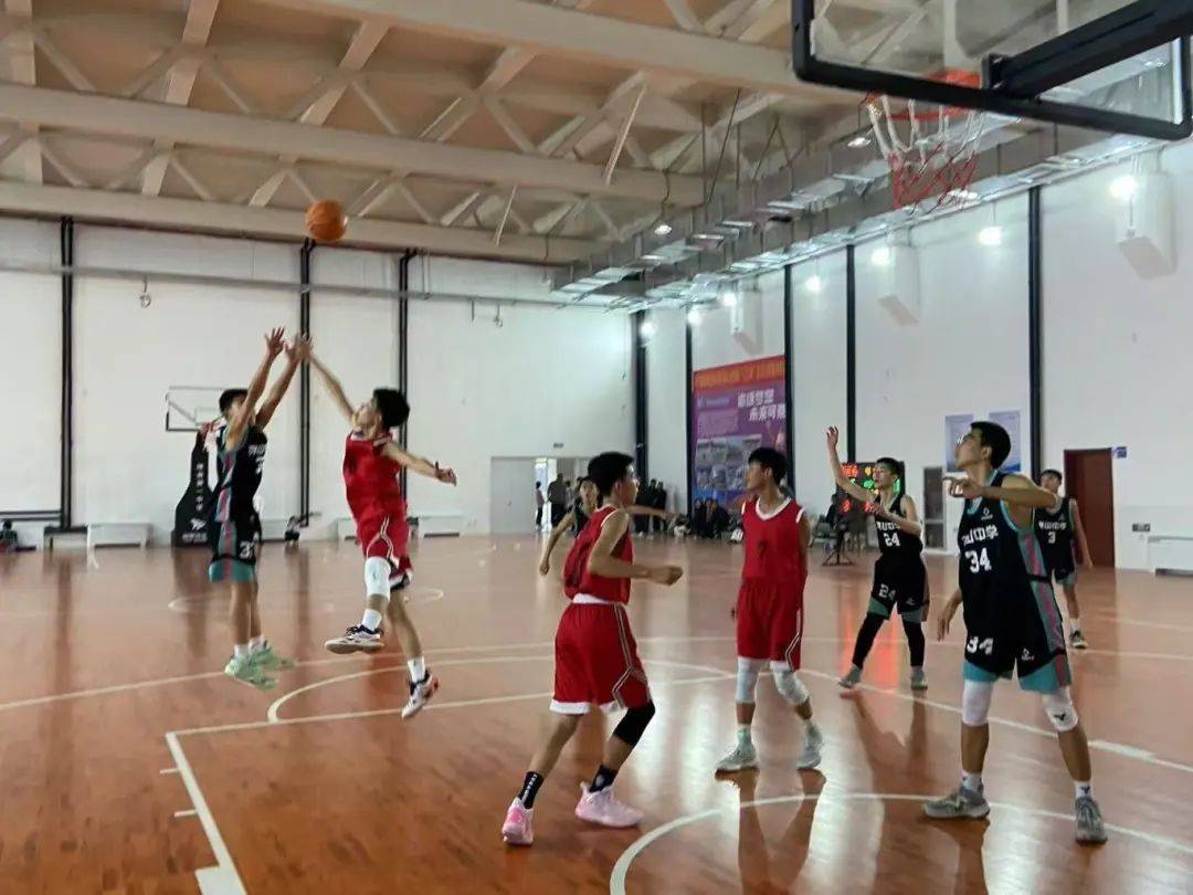 男子篮球联赛赛场上或将掀起轩然大波的简单介绍