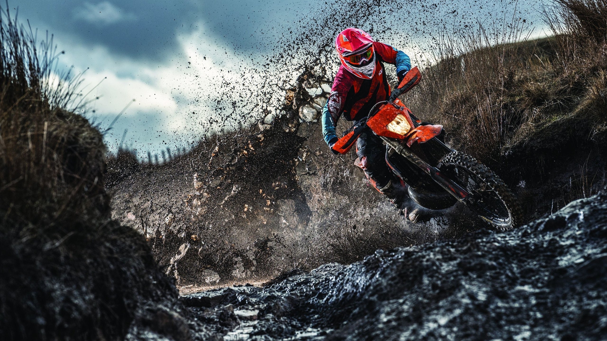 球星统治与体系压制，东契奇让比赛提前失去悬念，猛龙战术令骑士窒息